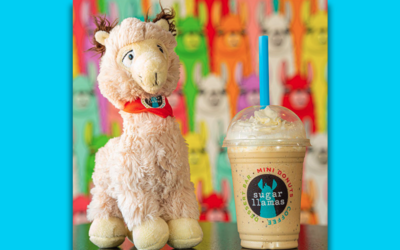 Sugar Llamas Now Open in Little Rock